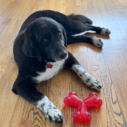 SPOT Play Strong Trident Bone - Durable TPR Long Lasting Dog Chew for Aggressive Chewers, Hole for Treats, Virtually Indestructible Toy for Large Dogs & Puppies up to 90lbs - 6 inch