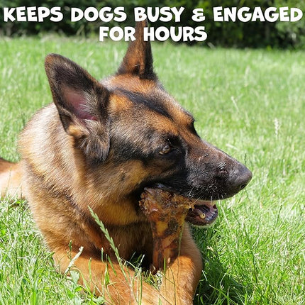 Beef Shin Bones for Dogs - Liver Coated Long Lasting Dog Chews for Aggressive Chewers - Rawhide-Free Big Bones for Large Dogs - Healthy Large Dog Bone (1 Pack)