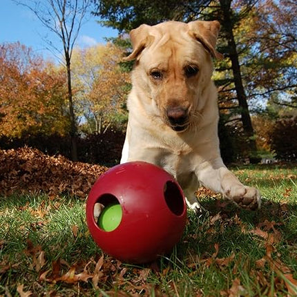 Jolly Pets Teaser Ball Dog Toy, Large/8 Inches, Red (Pack of 2)