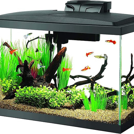 Aqueon Aquarium Fish Tank Starter Kit with LED Lighting 10 Gallon Fish Tank