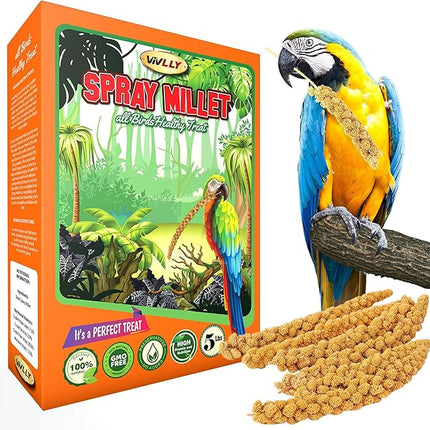 5LBS GMO-Free Sun Dried Spray Millet - Original Bird Treat Millet for Parakeets, Cockatiels, Finches & More - Non-GMO, High in Amino Acids, Easy Storage, Tasty & Healthy Bird Snacks (5 lbs)