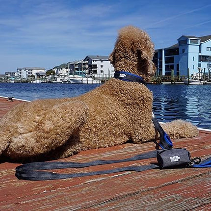 Black Rhino Dog Collars for Medium Dogs - Adjustable Reflective Heavy Duty Dog Collar with Ultra-Soft Neoprene Padding - Weatherproof, Durable, and Comfortable - Ideal for Active Dogs - Blue and Gray