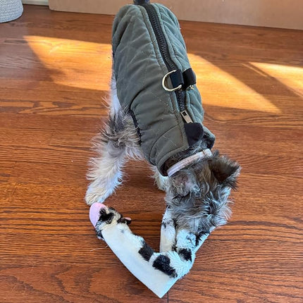 SPOT Skinneeez Crinklers Cow - Stuffing-Free Dog Toy with Crinkle & Squeaker Sounds, Durable for Moderate Chewers, Tug Toy for Small Dogs & Puppies, 14in