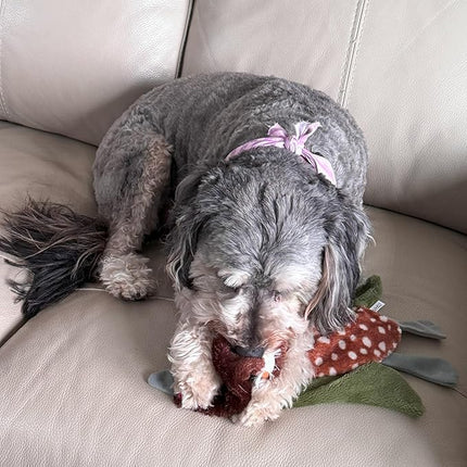 SPOT Skinneeez Crinklers Bird- Stuffing-Free Dog Toy with Crinkle and Squeaker Sounds, Durable Tug Toy for Moderate Chewers, Ideal for Medium and Large Dogs, Assorted Styles, 23 in