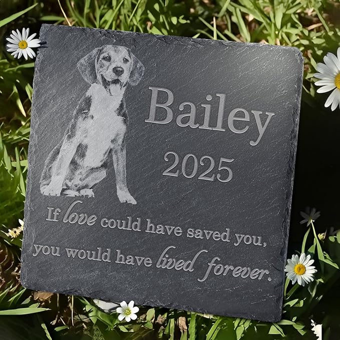 Pet Memorial Stone, Dog Memorial Stone, Dog Memorial Gifts for Loss of Dog, Pet Memorial Gifts, Loss of Pet Sympathy Gift, in Loving Memory Pet - Loved Could Saved You Forever - Square