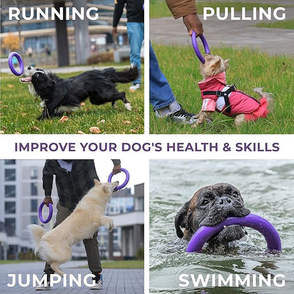 Dog Toy - Interactive Small Midi Dog Puppies Training - Fetch Toy - Dental Healthy - Dog Toys Set 2 Rings by Puller Mini Plus - Size 7 inches