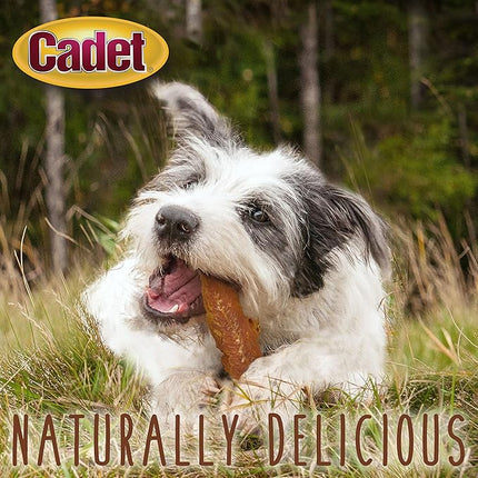 Cadet Gourmet Chicken Breast Dog Treats - Healthy & Natural Chicken Dog Training Treats for Small & Large Dogs - Inspected & Tested in USA (28 oz.)