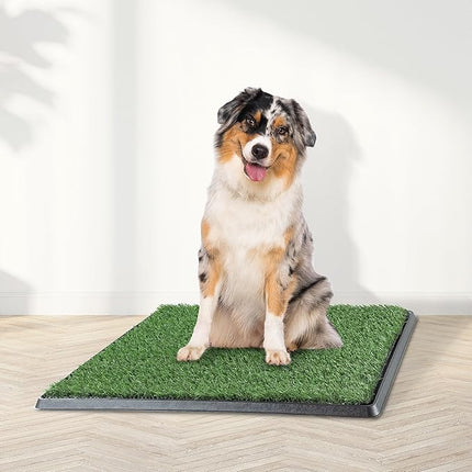 Artificial Grass Puppy Pee Pad for Dogs and Small Pets - 20x25 Reusable 4-Layer Training Potty Pad with Tray - Dog House and Pet Supplies by PETMAKER