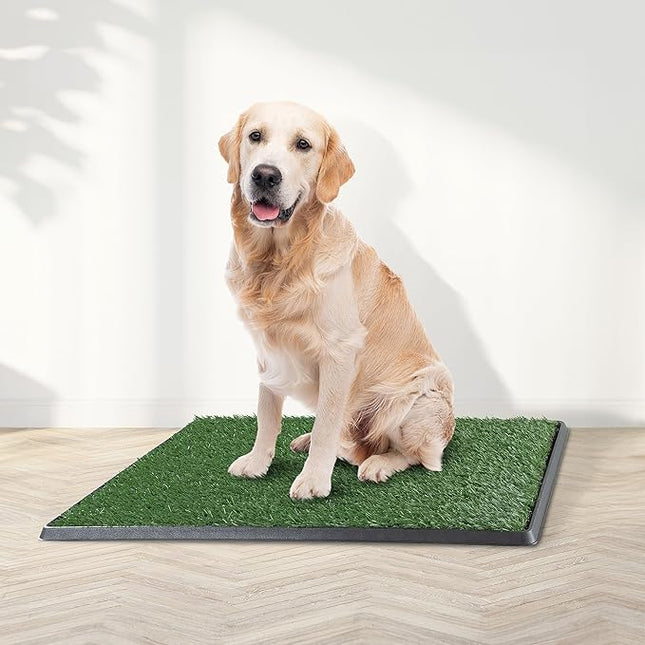 Artificial Grass Puppy Pee Pad for Dogs and Small Pets - 20x30 Inch, Reusable 4-Layer Turf Pads for Dogs with Tray - Indoor and Outdoor Fake Grass Potty Pet Supplies by PETMAKER