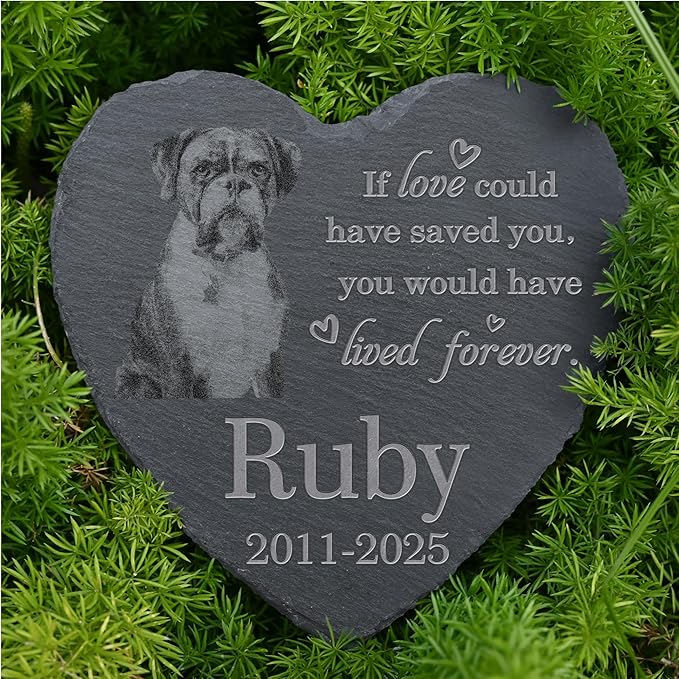 Personalized Pet Memorial Stone, Dog Memorial Gifts, Pet Loss Sympathy Gift, in Memory of Dog Cat - Lived Forever（Heart）
