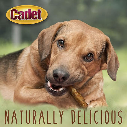 Cadet Gourmet 5-Inch Pork Hide Twist Chew Sticks, Long-Lasting and Natural Rawhide Chews for Dogs, Inspected & Tested in USA, Chicken Flavor, 22 Count