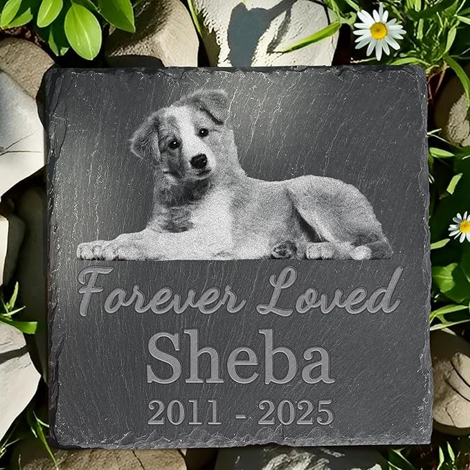 Pet Memorial Stone, Dog Memorial Stone, Dog Memorial Gifts for Loss of Dog, Pet Memorial Gifts, Loss of Pet Sympathy Gift, in Loving Memory Pet - Forever Loved - Square