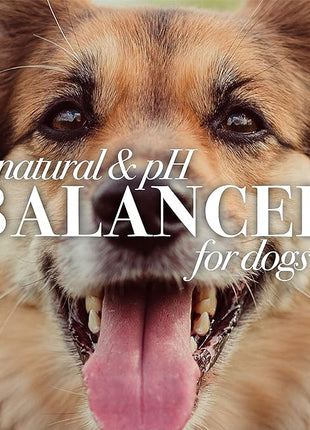 Burt's Bees for Pets Itch Soothing Shampoo with Honeysuckle, 95% Natural Origin Formulas, Dog Cleanser Wash for Itchy Dogs, Skin Relief, 16 oz