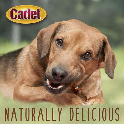 Cadet Gourmet Sweet Potato & Chicken Wraps Limited-Ingredient Dog Chews, Healthy and Natural Training Treats for Small and Large Dogs, 28 oz.