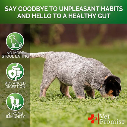 No Poo Chews for Dogs - Advanced Coprophagia Stool Eating Deterrent for Dogs - Stop Dog Poop Eating - Probiotics & Digestive Enzymes Supplement - Made in USA - Vet Formulated - 120 Soft Treats