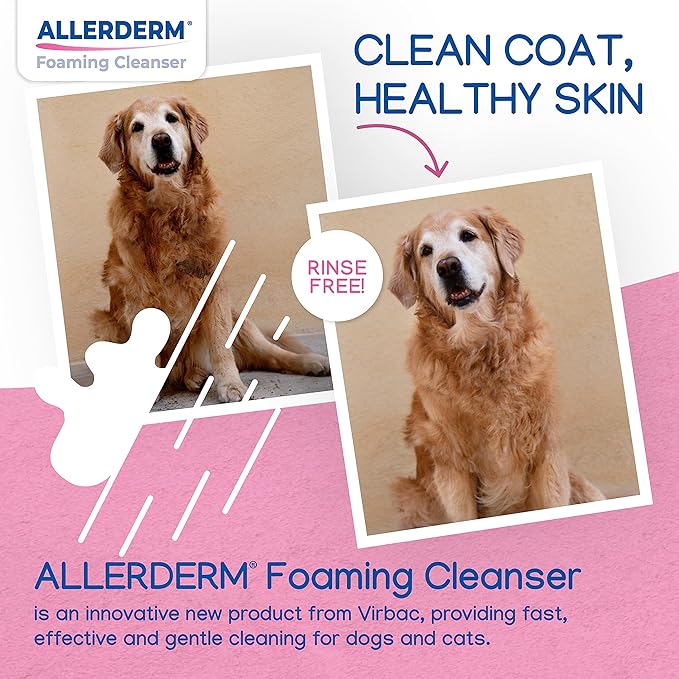 ALLERDERM Foaming Cleanser- Rinse-Free Waterless Micellar Foam for Dogs and Cats with Sensitive Skin by Virbac