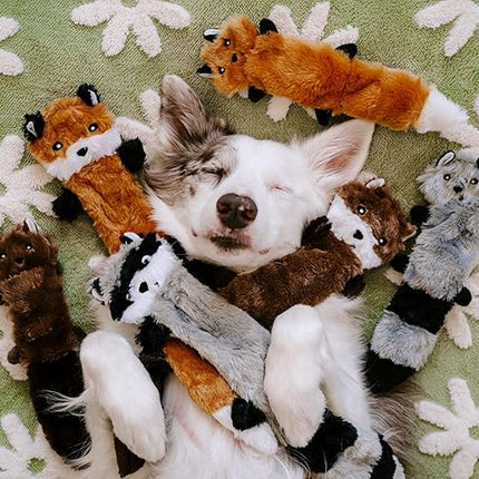 ZippyPaws Skinny Peltz - No Stuffing Dog Toy Pack to Keep Them Busy, for Small and Medium Dogs, Squeaky Pet Toys, Unstuffed Chew Toys, Soft Plush Variety Pack, Fox, Raccoon, and Squirrel - 11"