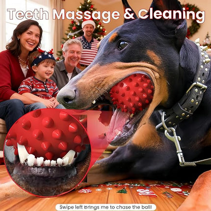 Apasiri Beef-Flavored Durable Dog Ball for Aggressive Chewers, Tough Squeaky Rubber Toy for Pitbulls Large & Medium Breeds