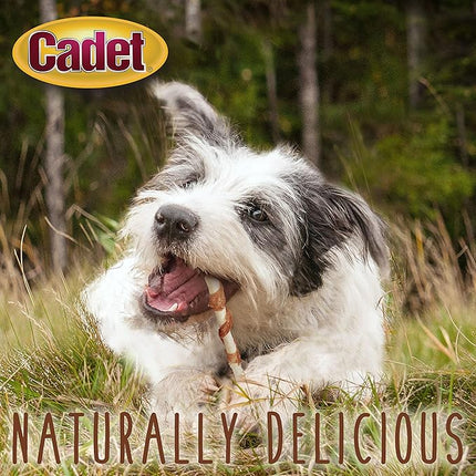 Cadet Gourmet Beef Hide Twist Chew Sticks, Long Lasting & Natural Chew Treats for Dogs, Inspected & Tested in USA, Chicken Flavor (14 Count)