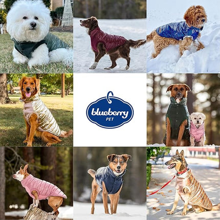 Blueberry Pet Cozy & Comfy Windproof Lightweight Quilted Fall Winter Glossy Dog Puffer Jacket in Deep Rouge, Back Length 12.5", Size 10, Warm Coat for Small Dogs