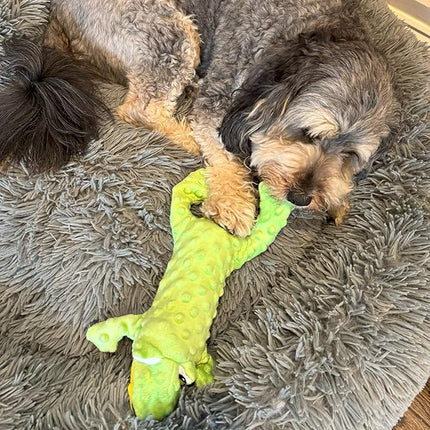 SPOT Skinneeez Extreme Stuffers Frog - Stuffing Free Dog Toy With Squeaker & Rip Stop Mesh Lining for Durability - Insert Plastic Bottle for Extra Crunch, For Small to Medium Puppies & Dogs - 14in