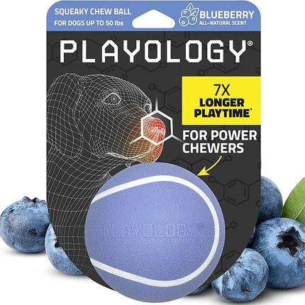 Playology Dog Toys | Squeaky Chew Ball - Bouncy Durable Floating Fetch Ball for Dogs | Medium Blueberry Scented Toy - Easy to Clean and Made from Non Toxic Materials