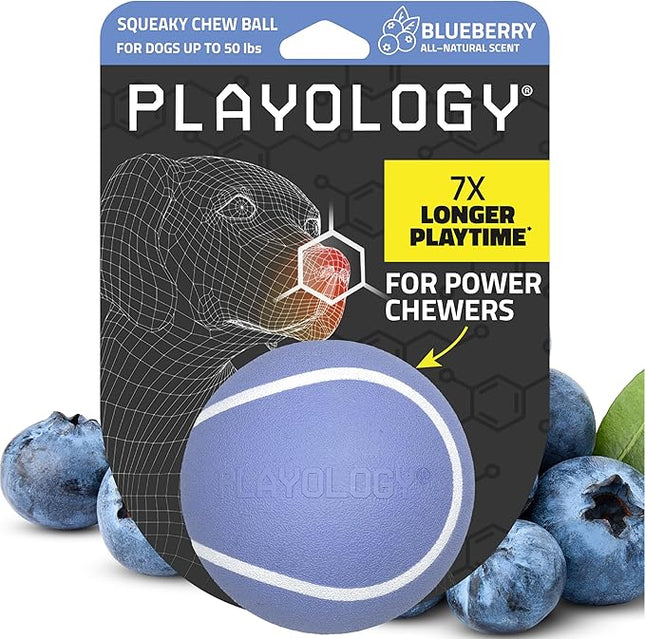 Playology Dog Toys | Squeaky Chew Ball - Bouncy Durable Floating Fetch Ball for Dogs | Medium Blueberry Scented Toy - Easy to Clean and Made from Non Toxic Materials