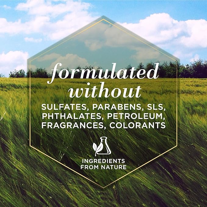 Burt's Bees for Pets Hypoallergenic Shampoo for Dogs with Shea Butter and Honey, 95% Natural Origin Formulas, Shampoo for Sensitive Dogs - Gentle Dog Shampoo, 16 oz