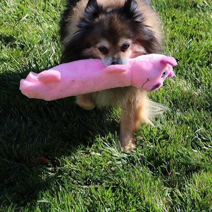 SmartPetLove Snuggle Puppy Tender Tuffs - Water Bottle Cruncher with Puncture Resistant Squeaker - Pig Bottle Cover Dog Toy