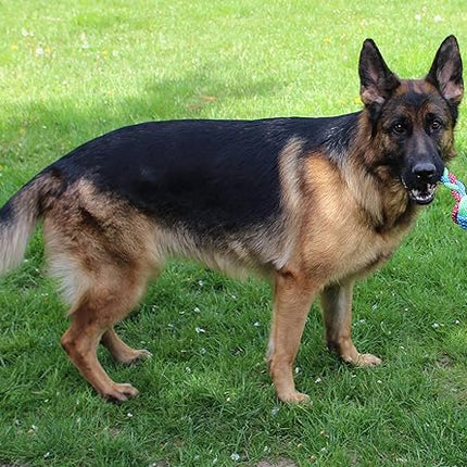 Jalousie 14 Pack Puppy Chew Dog Rope Toy Assortment for Small Medium Large Breeds