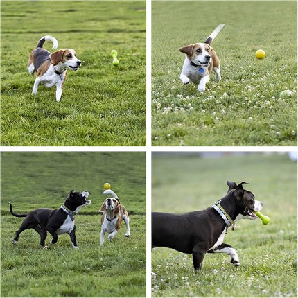 Youngever 8 Durable Dog Chew Toys, Puppy Toys, Dog Rope Toys Value Pack, Puppy Teething Toys for Small and Medium Dogs