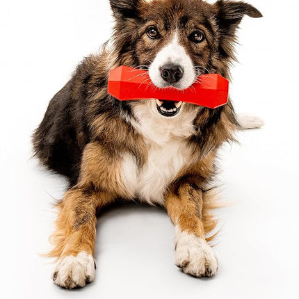 Playology Dog Toys | Durable Squeaky Chew Stick for Dogs | Jumbo Beef Scented Toy - Easy to Clean and Made from Non Toxic Materials