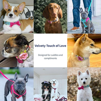 Blueberry Pet Adjustable Flocking Dog Collar for Large Dogs, Pink Girl Dog Collars with Detachable Velvety Bowtie, Heart in Lust Red, Spring Dog Collar for 18-26 Inch Neck