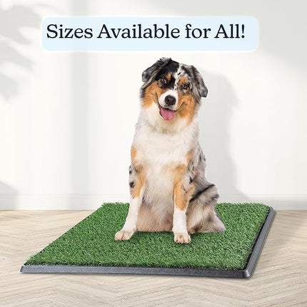 Artificial Grass Puppy Pee Pad for Dogs and Small Pets - 20x25 Reusable 4-Layer Training Potty Pad with Tray - Dog House and Pet Supplies by PETMAKER
