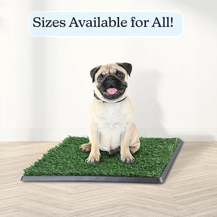 Artificial Grass Puppy Pee Pad for Dogs and Small Pets - 16x20 Reusable 4-Layer Turf Pads for Dogs with Tray - Indoor and Outdoor Fake Grass Potty Pet Supplies by PETMAKER