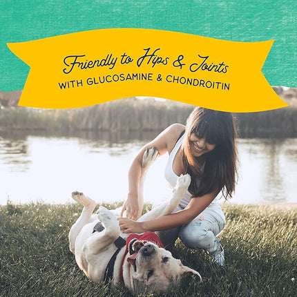 Natural Balance Limited Ingredient Rewards Jumpin' Stix, Grain-Free Dog Treats for Adult Dogs of All Breeds, Chicken Recipe, 10 Ounce (Pack of 1)