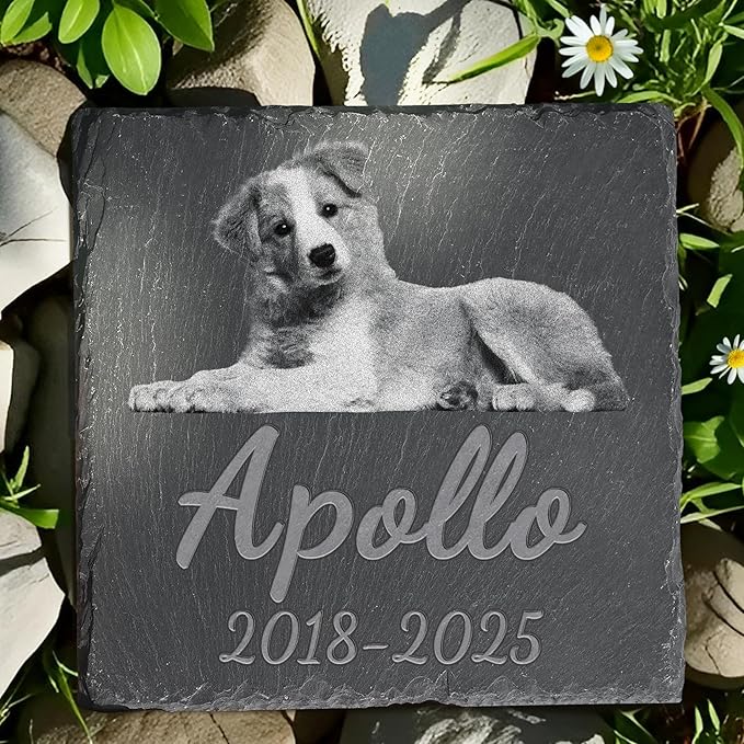 Pet Memorial Stone, Dog Memorial Stone, Dog Memorial Gifts for Loss of Dog, Pet Memorial Gifts, Loss of Pet Sympathy Gift, in Loving Memory Pet - Beloved Pet - Square