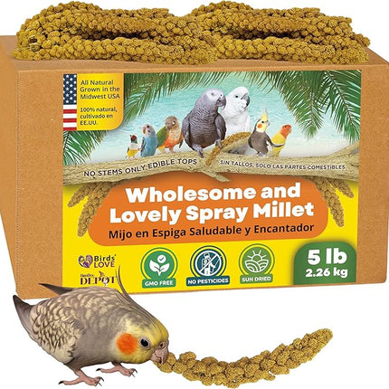 5lbs Wholesome Spray Millet for Birds – Grown, Harvested & Packed in The USA – 100% Natural, Sun‑Dried Bird Treat – Foraging Millet for Parakeets, Cockatiels, Conures, Budgies & Parrots