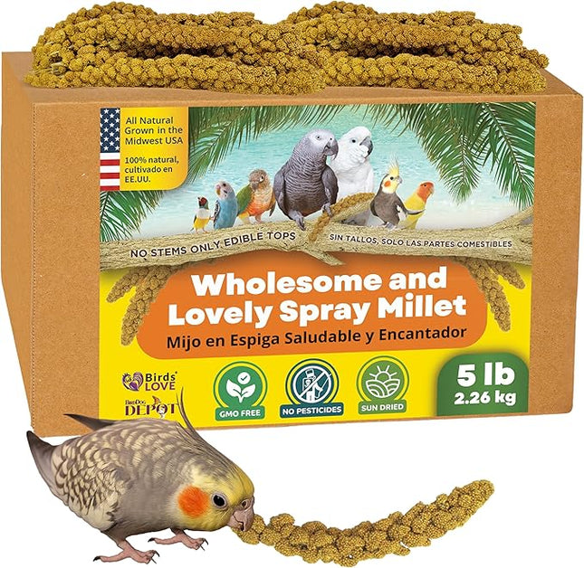 5lbs Wholesome Spray Millet for Birds – Grown, Harvested & Packed in The USA – 100% Natural, Sun‑Dried Bird Treat – Foraging Millet for Parakeets, Cockatiels, Conures, Budgies & Parrots