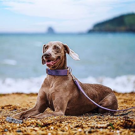 ARING PET Velvet Dog Collar and Leash Set, Soft Purple Dog Collar and Leash, Adjustable Collars for Dogs