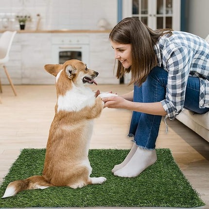 Artificial Dog Grass Pee Pad 20”x 25” 2 Pack, Grass Pad for Dogs Indoor Potty Training, Replacement Turf for Puppy, Washable Reusable Realistic Fake Grass Mat