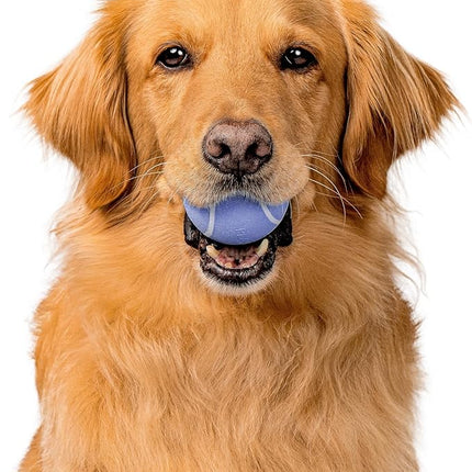 Playology Dog Toys | Squeaky Chew Ball - Bouncy Durable Floating Fetch Ball for Dogs | Medium Blueberry Scented Toy - Easy to Clean and Made from Non Toxic Materials
