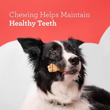 DreamBone Sweet Potato Dog Chew (24 Piece/Pack), Mini