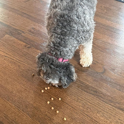 Exclusively Dog Best Buddy Bits Training Treats for Dogs and Puppies - All Natural, Baked in The USA, Ideal for Training & Agility, No Animal Byproducts - Peanut Butter Flavor, 5.5oz Resealable Bag