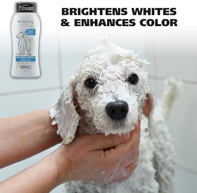 Wahl USA Whitening Shampoo White Pear scent for Pets – Whitening & Animal Odor Control with Silky Smooth Results for Grooming Dirty Dogs – 24 oz - Model 820001A