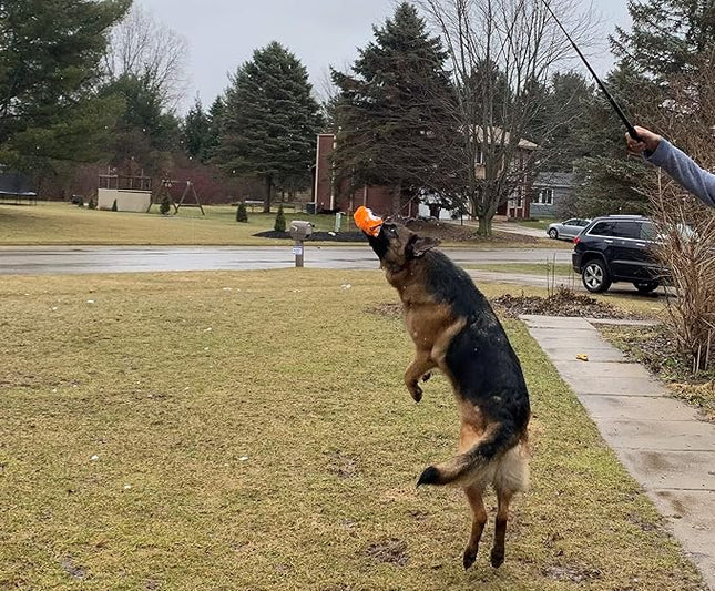 Jalousie Collapsible Dog Flirt Pole with Three Squeaky Toys Plush Toys Dog Teaser Wand Chase it Toy with Refills Upgraded Rope