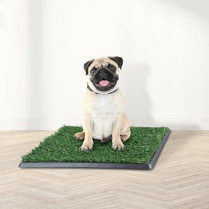 Artificial Grass Puppy Pee Pad for Dogs and Small Pets - 16x20 Reusable 4-Layer Turf Pads for Dogs with Tray - Indoor and Outdoor Fake Grass Potty Pet Supplies by PETMAKER