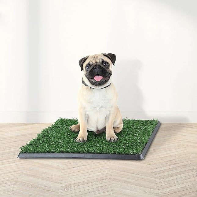 Artificial Grass Puppy Pee Pad for Dogs and Small Pets - 16x20 Reusable 4-Layer Turf Pads for Dogs with Tray - Indoor and Outdoor Fake Grass Potty Pet Supplies by PETMAKER