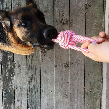 Jalousie 14 Pack Puppy Chew Dog Rope Toy Assortment for Small Medium Large Breeds