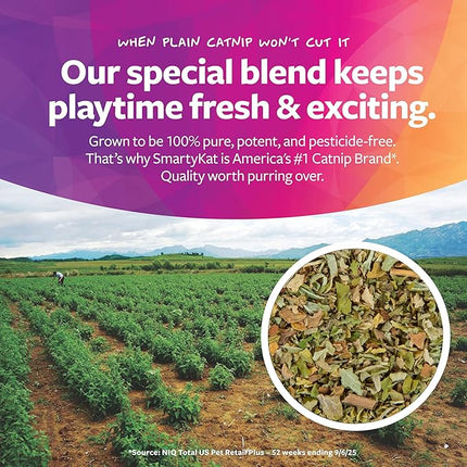 SmartyKat (3 Count) Bouncy Mouse Bungee Dangler Plush Cat Toys - Multi Color, 3 Count